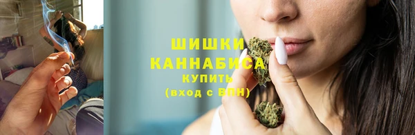a pvp Аркадак