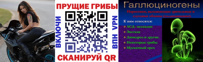 Псилоцибиновые грибы ЛСД  Наволоки 